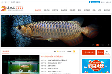 山西最大的龙鱼水族中文门户网站
